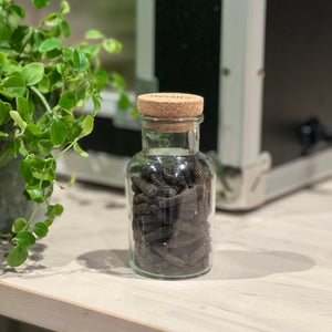 012 - Java Long Pepper
